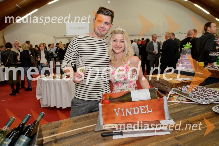 Salon VinDel 2016, 9. mednarodni salon vina in delikatese
