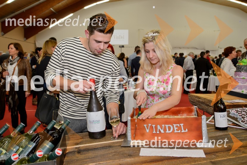 Salon VinDel 2016, 9. mednarodni salon vina in delikatese