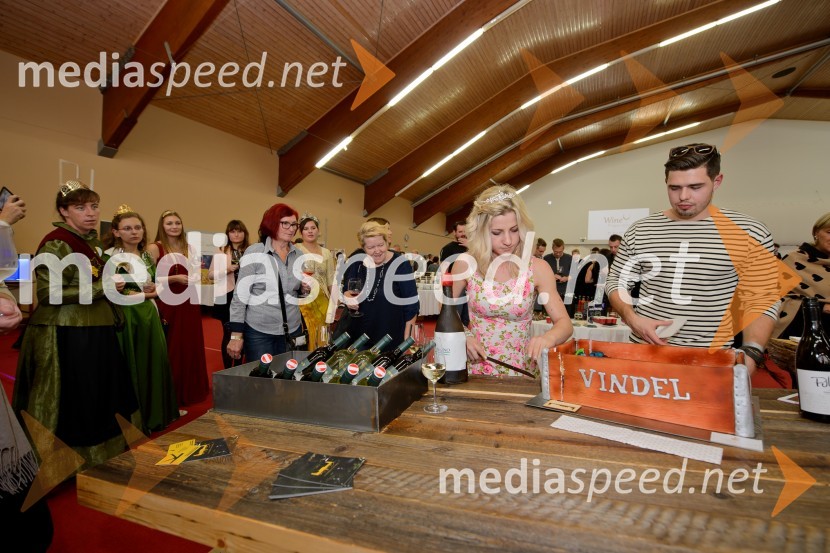 Salon VinDel 2016, 9. mednarodni salon vina in delikatese
