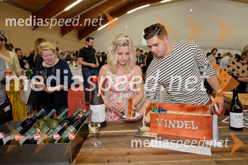 Salon VinDel 2016, 9. mednarodni salon vina in delikatese