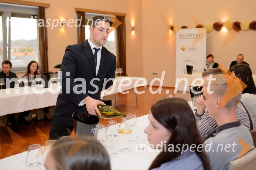 Salon VinDel 2016, 9. mednarodni salon vina in delikatese