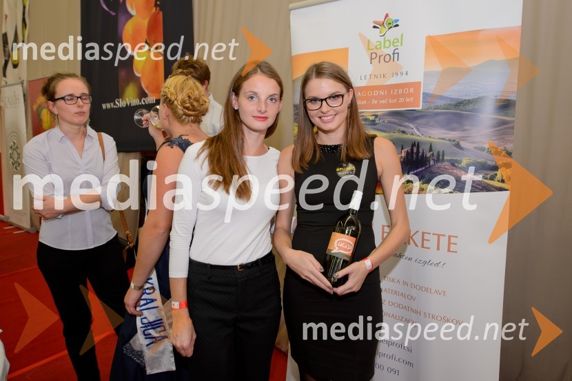 Salon VinDel 2016, 9. mednarodni salon vina in delikatese