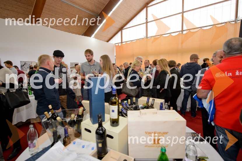 Salon VinDel 2016, 9. mednarodni salon vina in delikatese