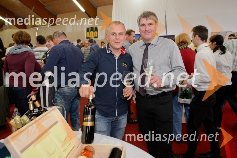 Salon VinDel 2016, 9. mednarodni salon vina in delikatese