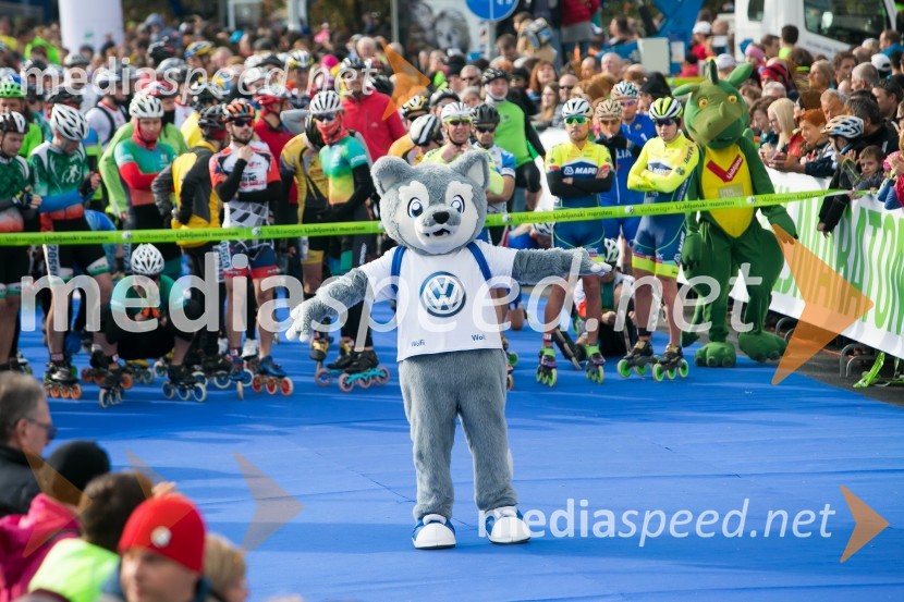 Volkswagen 21. Ljubljanski maraton 2016
