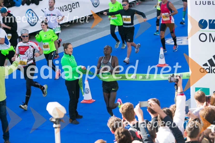 Volkswagen 21. Ljubljanski maraton 2016