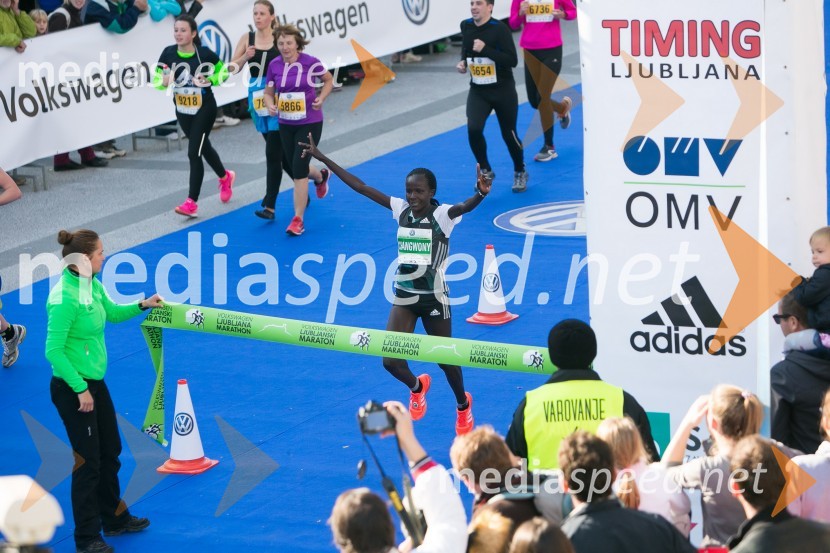 Volkswagen 21. Ljubljanski maraton 2016