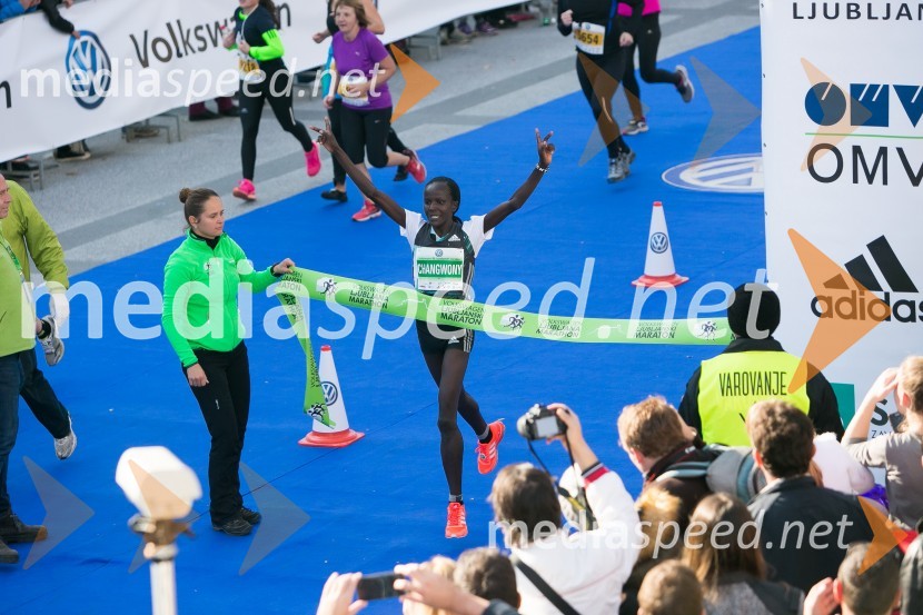 Volkswagen 21. Ljubljanski maraton 2016