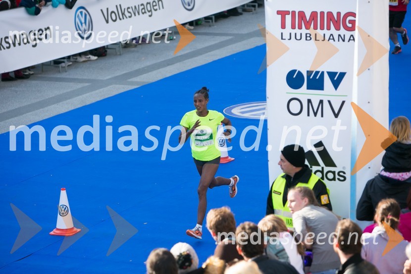 Volkswagen 21. Ljubljanski maraton 2016