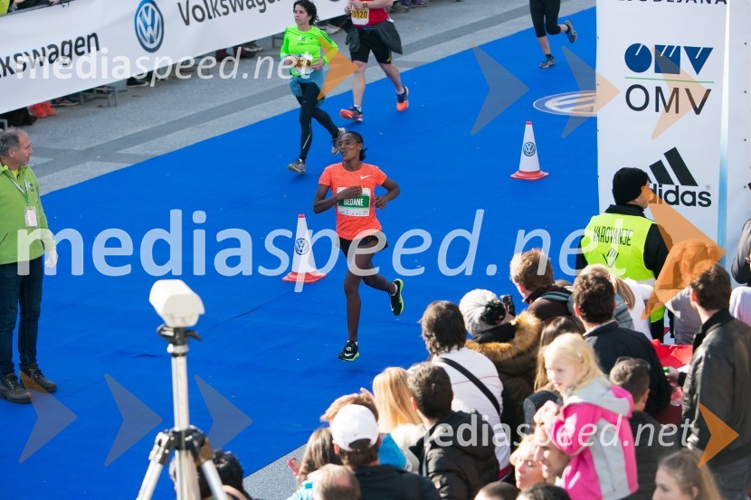 Volkswagen 21. Ljubljanski maraton 2016
