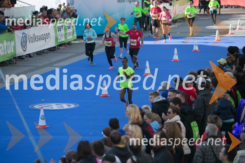 Volkswagen 21. Ljubljanski maraton 2016