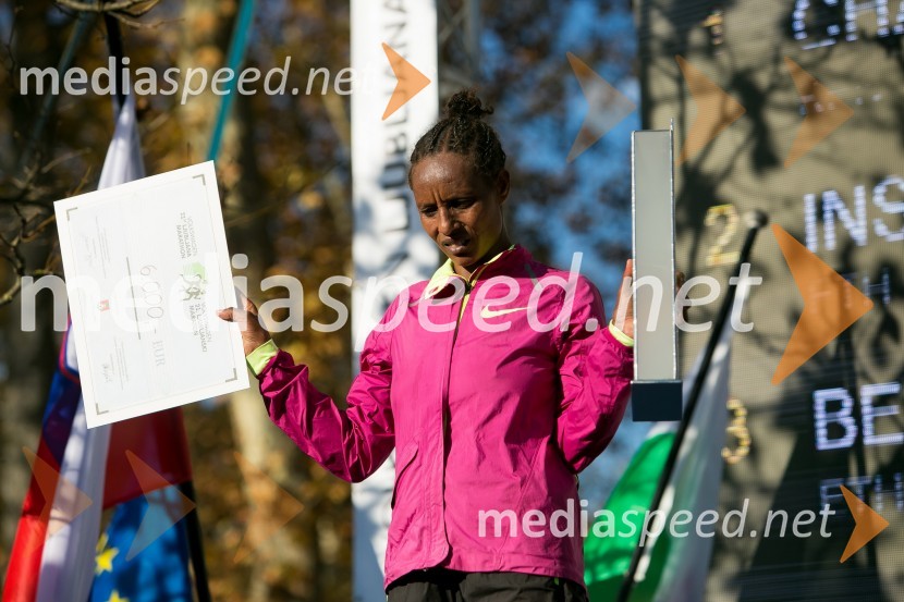 Volkswagen 21. Ljubljanski maraton 2016