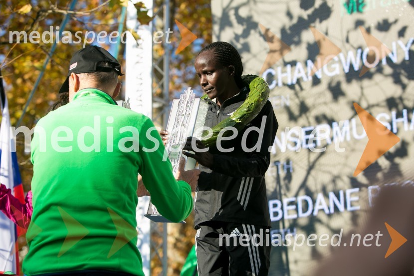 Volkswagen 21. Ljubljanski maraton 2016