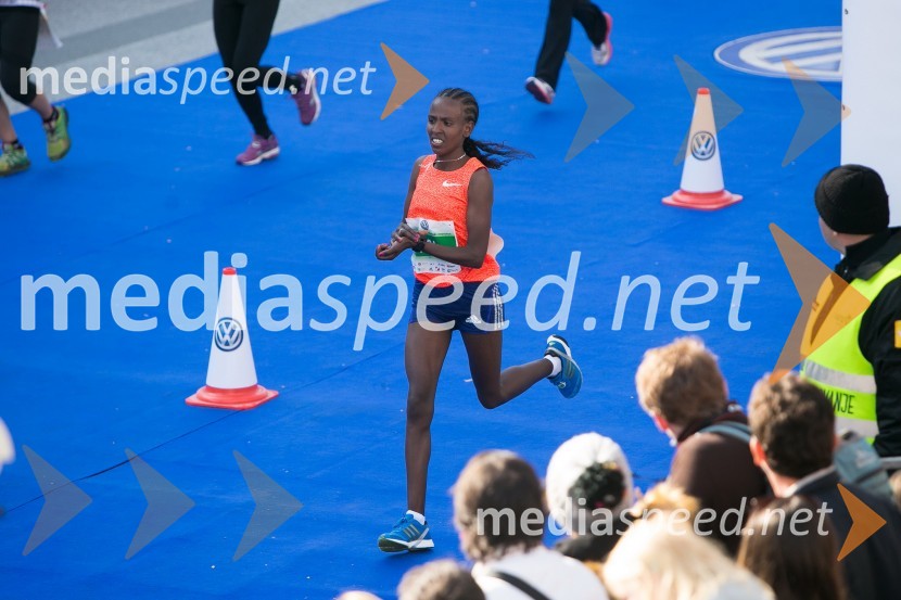 Volkswagen 21. Ljubljanski maraton 2016