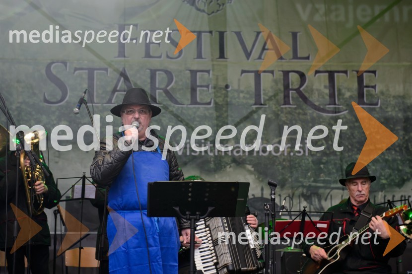 Martinovanje v Mariboru 2016