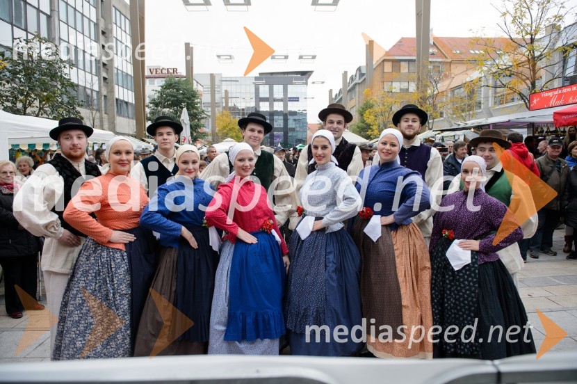 Akademska folklorna skupina ŠtudentMartinovanje v Mariboru 2016