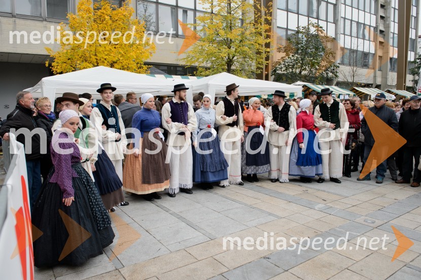 Folklorna skupina ŠtudentMartinovanje v Mariboru 2016