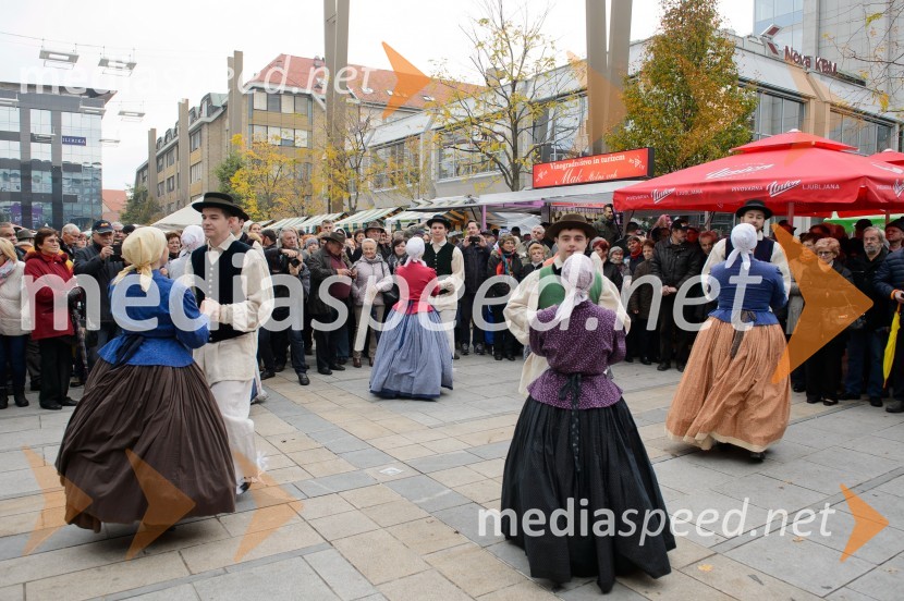 Akademska folklorna skupina ŠtudentMartinovanje v Mariboru 2016