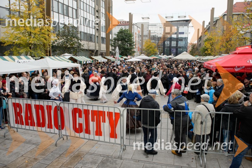 Martinovanje v Mariboru 2016Martinovanje v Mariboru 2016