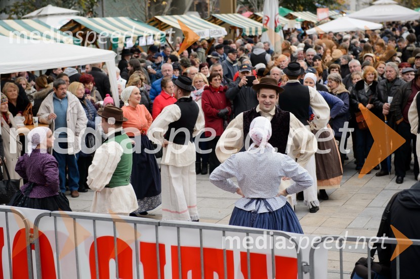 Martinovanje v Mariboru 2016