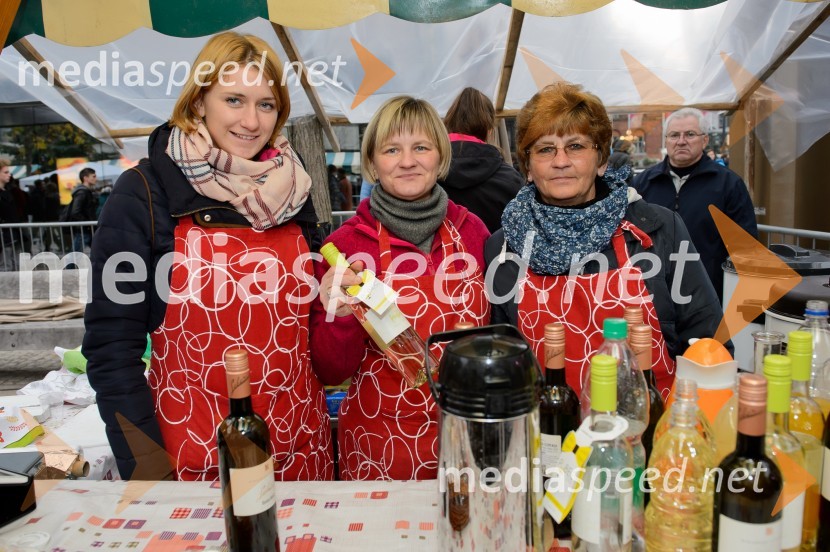 Martinovanje v Mariboru 2016