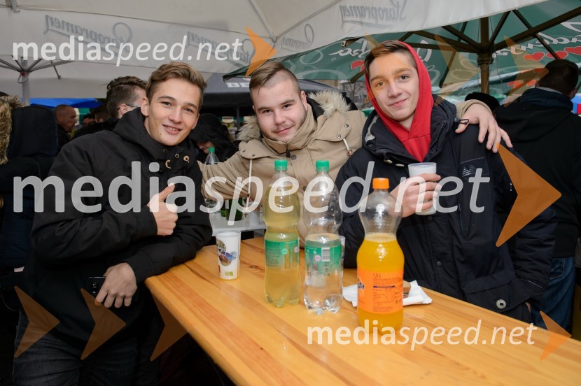 Martinovanje v Mariboru 2016