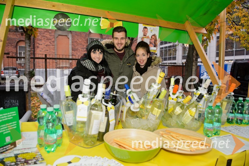  Sara Kaučič Božič;  Damijan Ljubec, Mediaspeed;  Andreja Breznik, MediaspeedMartinovanje v Mariboru 2016