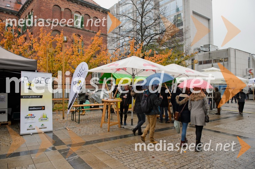 Martinovanje v Mariboru 2016