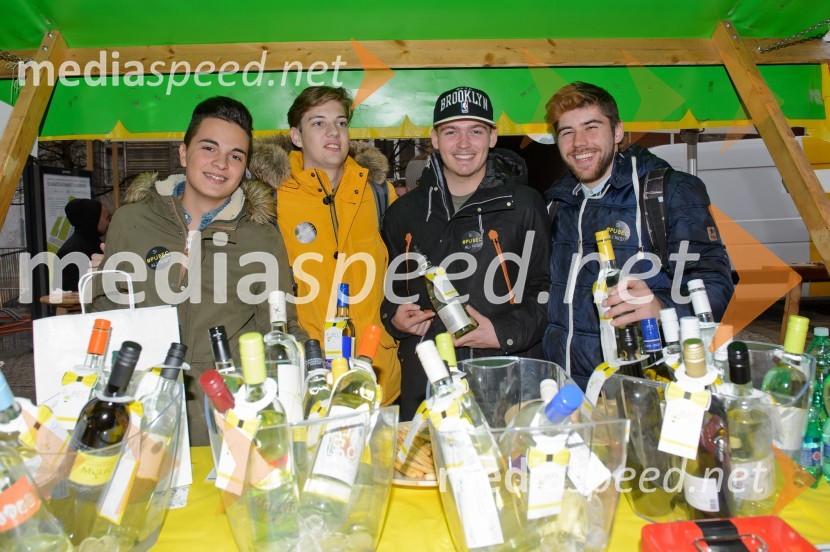 Martinovanje v Mariboru 2016