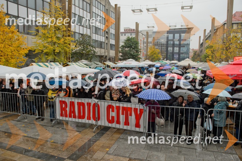 Martinovanje v Mariboru 2016Martinovanje v Mariboru 2016