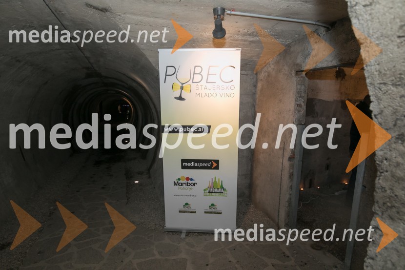 Vinska pot v Rovih pod starim KranjemVinska pot v Rovih pod starim Kranjem