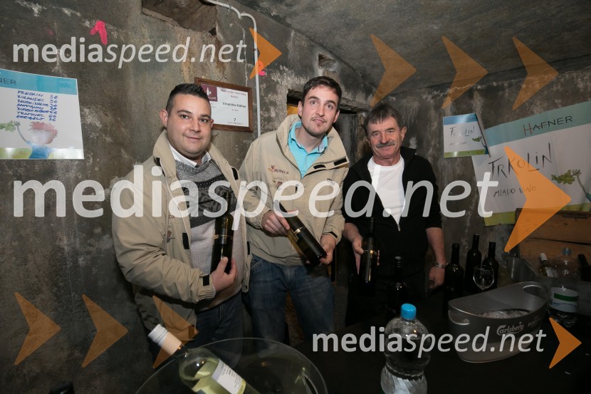 Vinska pot v Rovih pod starim KranjemVinska pot v Rovih pod starim Kranjem