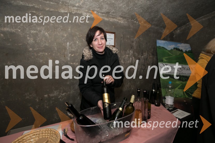 Vinska pot v Rovih pod starim Kranjem