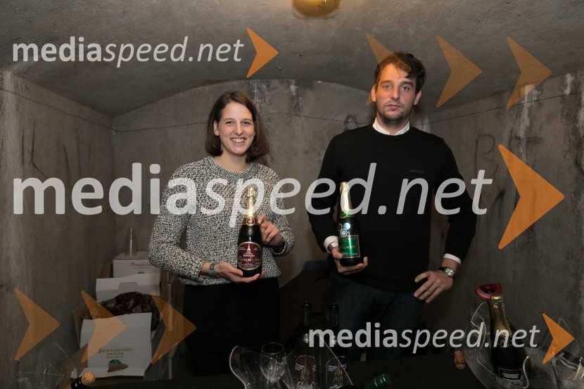 Vinska pot v Rovih pod starim Kranjem