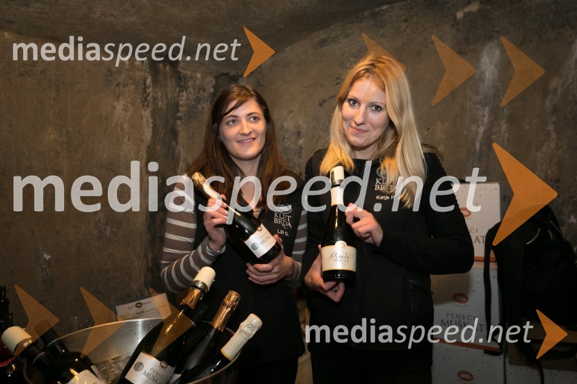 Vinska pot v Rovih pod starim Kranjem