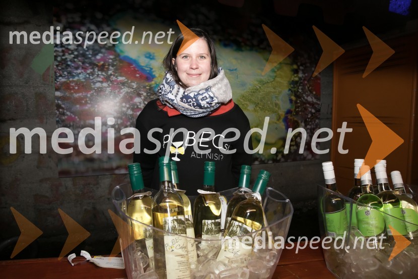 Vinska pot v Rovih pod starim KranjemVinska pot v Rovih pod starim Kranjem