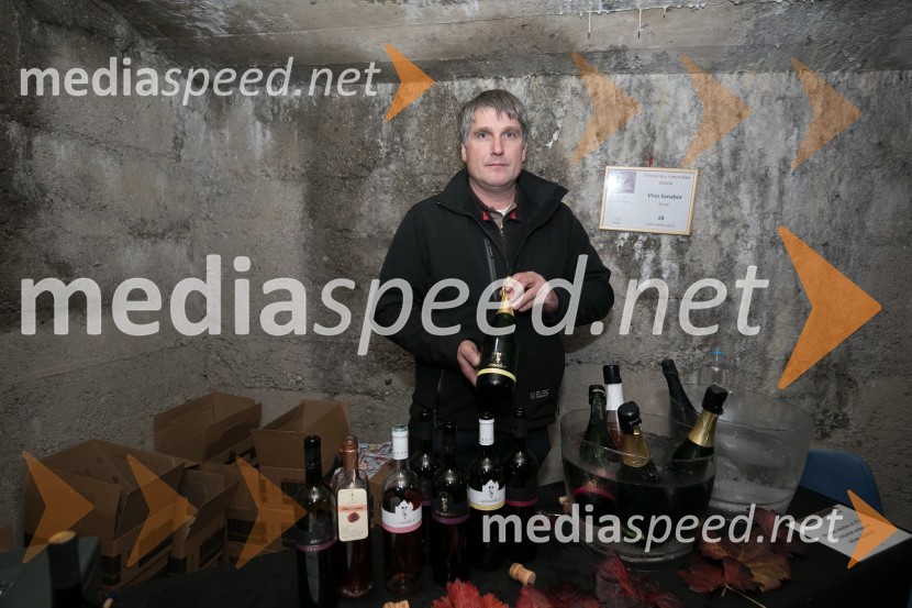 Vinska pot v Rovih pod starim Kranjem