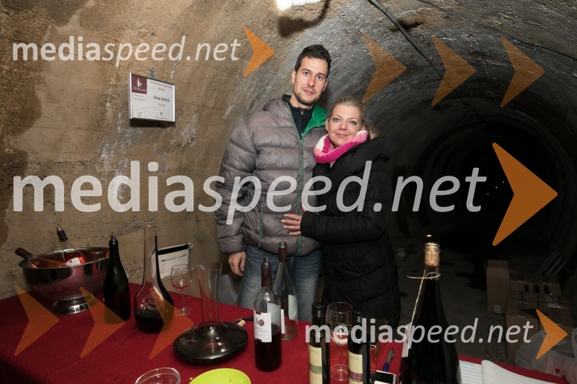 Vinska pot v Rovih pod starim Kranjem