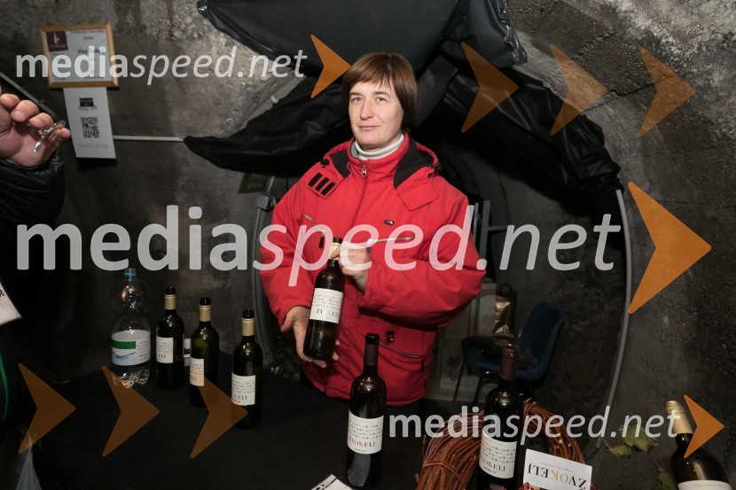 Vinska pot v Rovih pod starim Kranjem