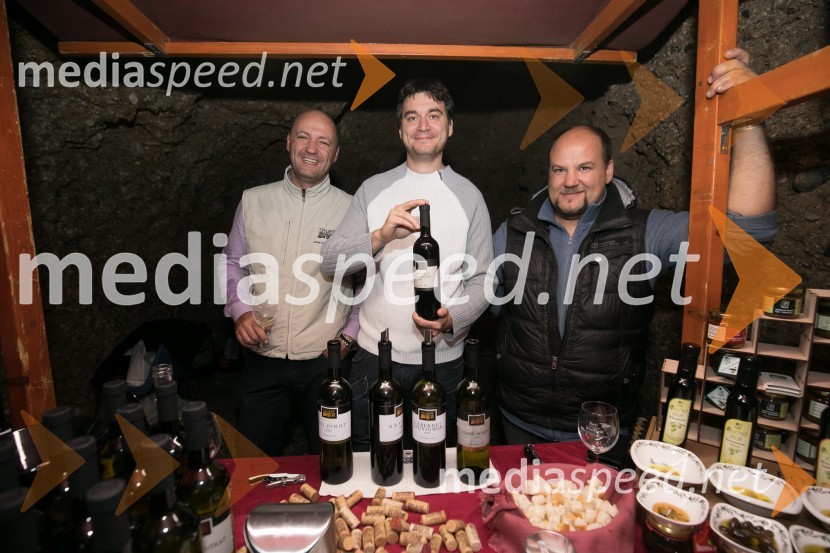 Vinska pot v Rovih pod starim Kranjem