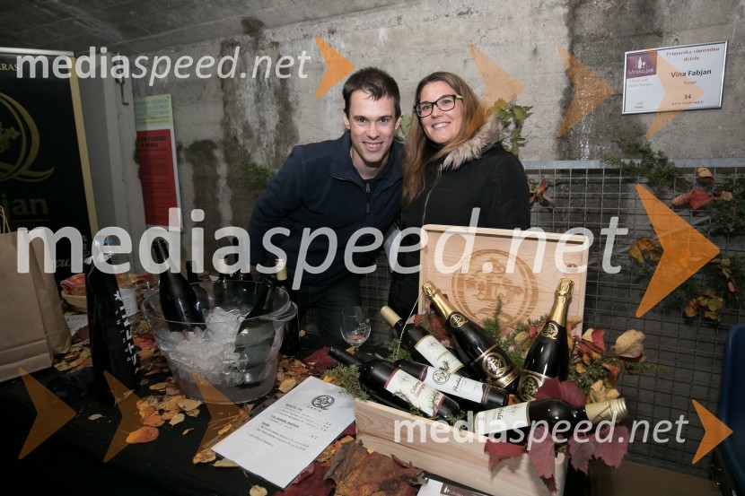 Vinska pot v Rovih pod starim Kranjem