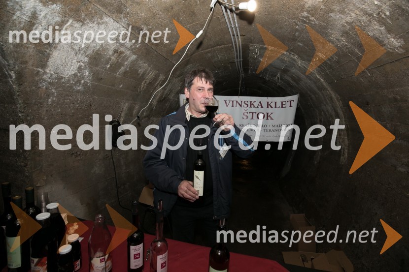 Vinska pot v Rovih pod starim Kranjem