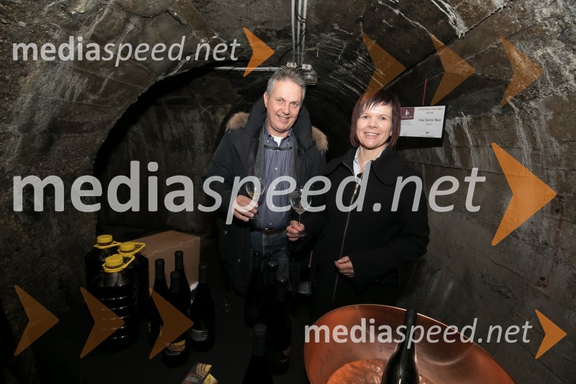 Vinska pot v Rovih pod starim Kranjem