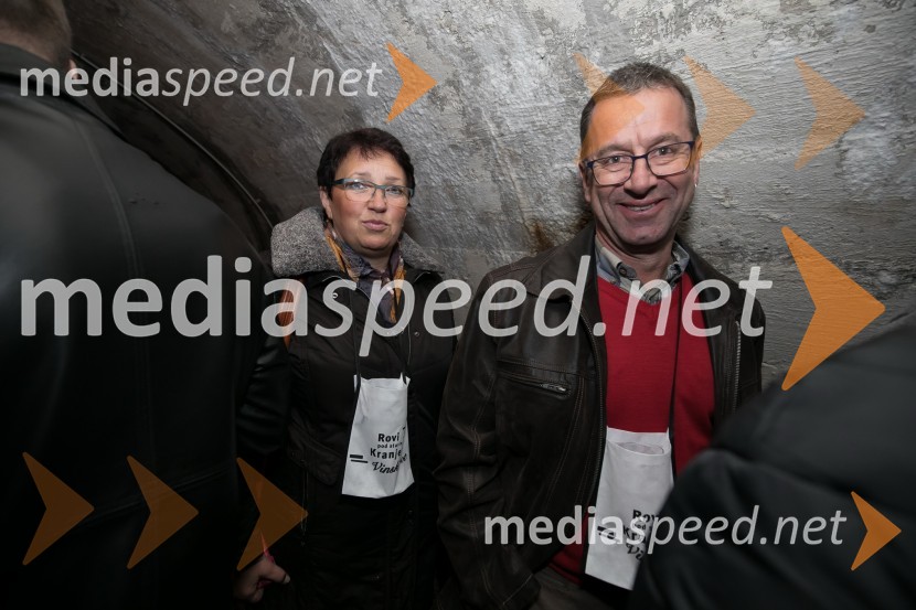 Vinska pot v Rovih pod starim Kranjem