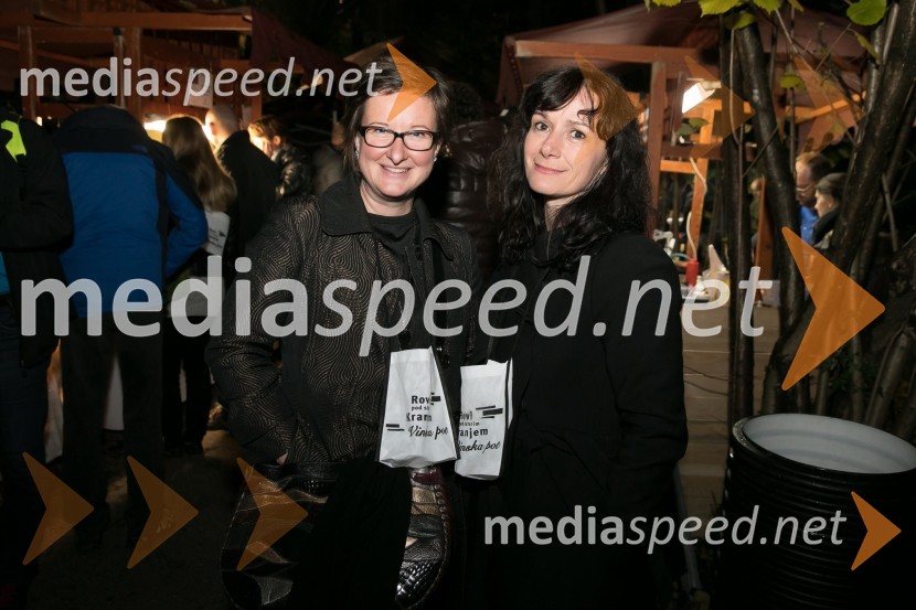  Jasna Štucin;  Mateja Koprivec, MOKVinska pot v Rovih pod starim Kranjem