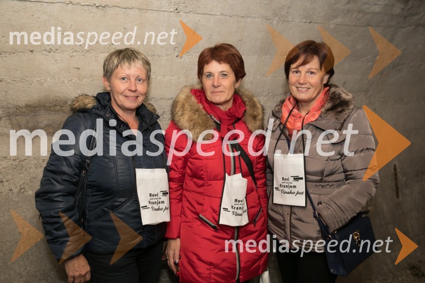 Vinska pot v Rovih pod starim Kranjem