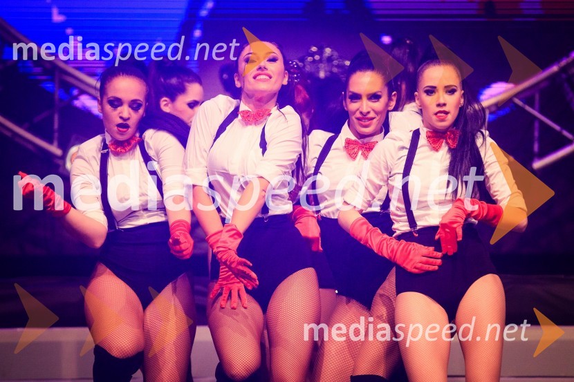 Tanja Žagar, koncert ob 20. obletnici glasbene kariere