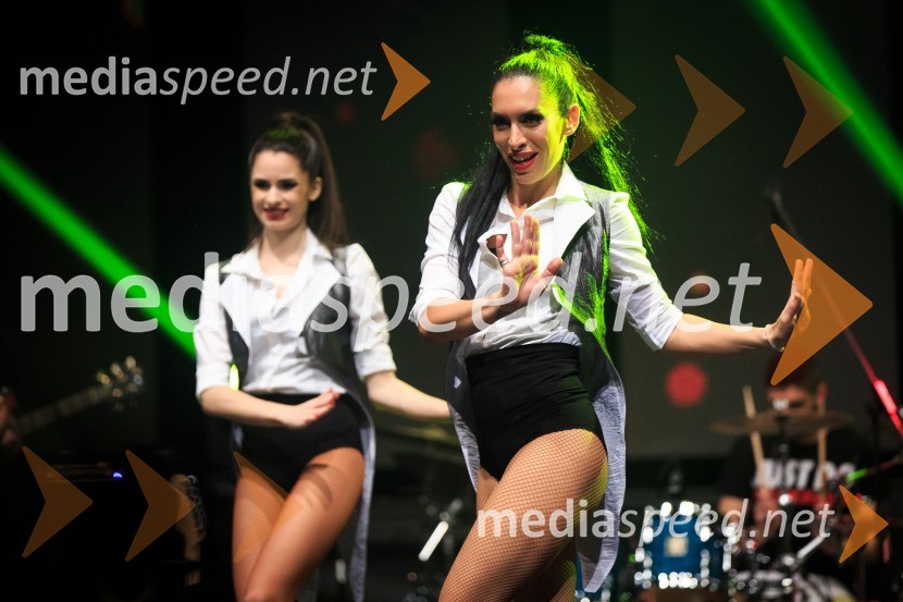 Tanja Žagar, koncert ob 20. obletnici glasbene kariere