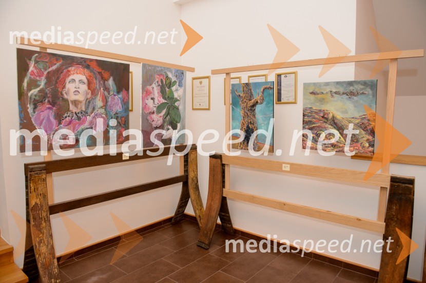 Vino in prijateljstvo 2016, odprtje razstaveVino in prijateljstvo 2016, odprtje razstave