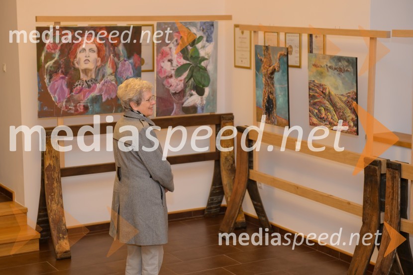 Vino in prijateljstvo 2016, odprtje razstave